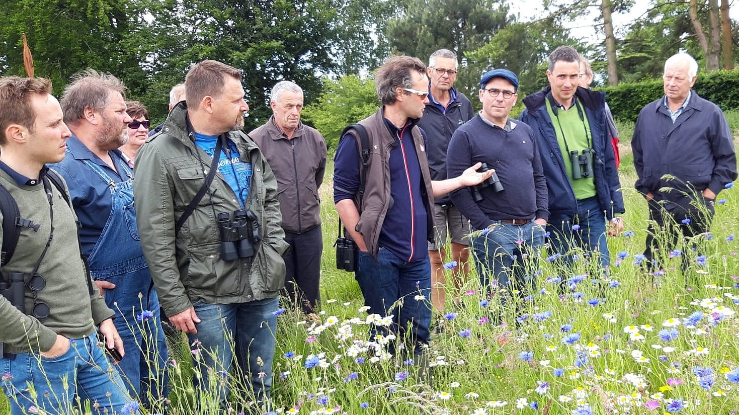 People in the field in an farm exchange