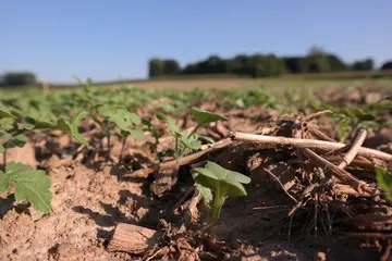 Woodchips Boerennatuur Vlaanderen