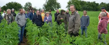 Climate Hemp