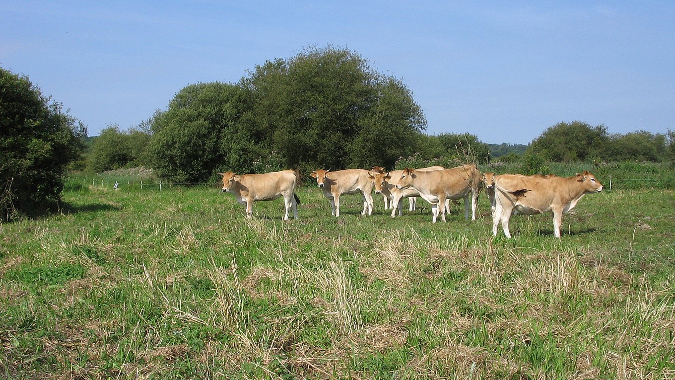 Photo credit: CEN Hauts-de-France 