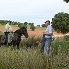 Shepherd Spain