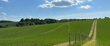 CAP Measure for Agroforestry