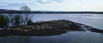 Cooperative Eko-Gajna