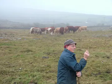Burren