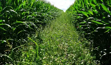 Association for Innovation and Sustainable Agriculture