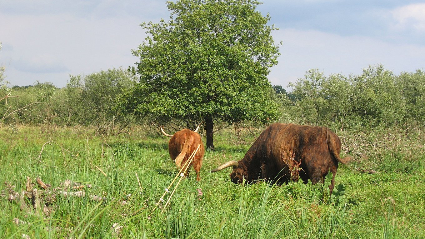 Photo credit: CEN Champagne-Ardenne 