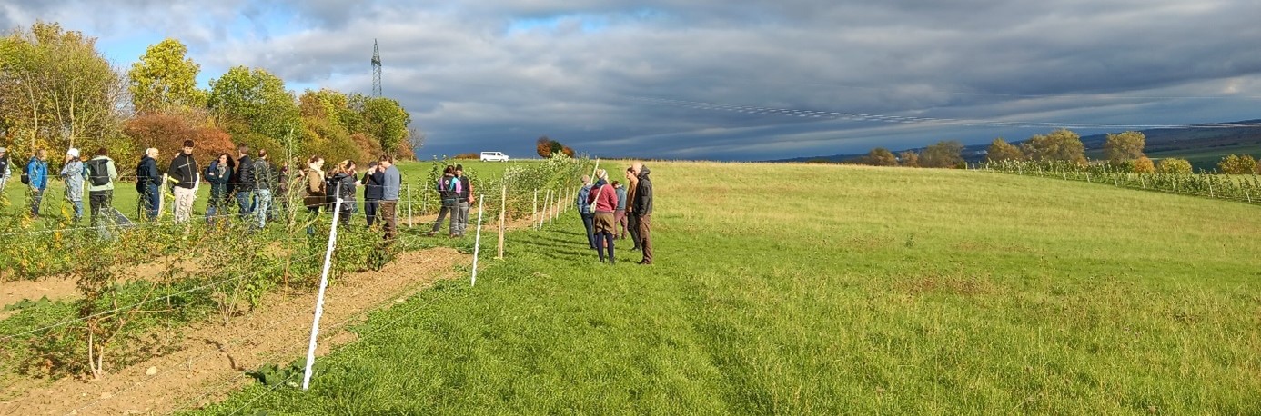 © Friedrich, Landcare Europe group of oeple standing on field with agroforestry